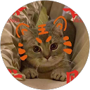 Zhang A. profile picture